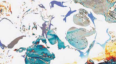 H.H.第三世多杰羌佛西洋畫、超自然抽象色彩作品：筆下的神龍世界