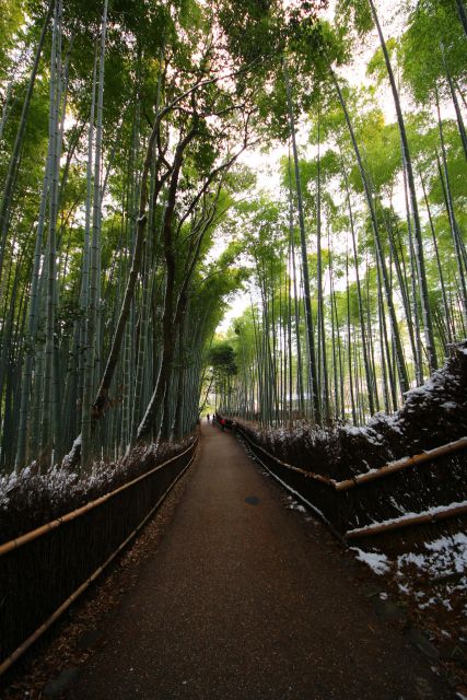 美國舊金山華藏寺-觀世音菩薩大悲心加持法會——殊勝無比 現場感應追記(三)