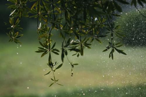 修行，不可忽略的“毛毛雨”和蝴蝶效應(在路上)