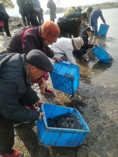 華藏學佛苑-兩則學佛受用：從84歲的父親與我的親身經歷說起(蓮池漫步)