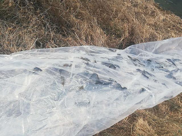 水族類四種因地制宜高效率的放生法，可讓放生省時省力(上福地)