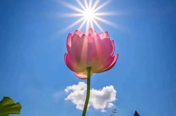 學佛修行、聞法的功德有多大？(墨菏)