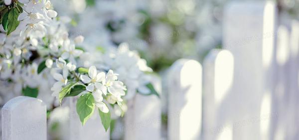 臨終生死分界線，該怎麼做？