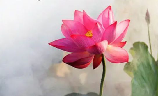 我為母親舉辦了一場別樣的60大壽家庭祝壽活動(洛桑)