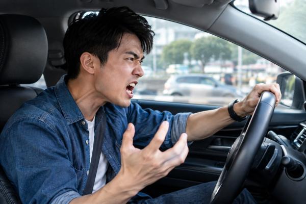 “由他去，任他行，您先請”我用九字訣笑對路怒症（鐵風箏）