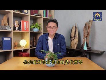 《阿丹來報告》系列節目