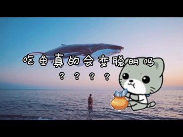 吃魚真的會變聰明嗎？