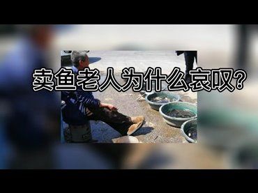 賣魚老人為什麼哀嘆？
