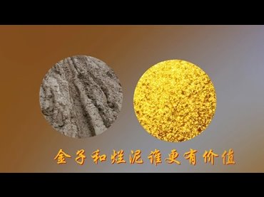 金子和爛泥誰更有價值？
