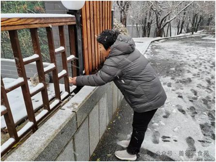 一個陌生大姐被一群流浪貓“賴上了”(慧燕)