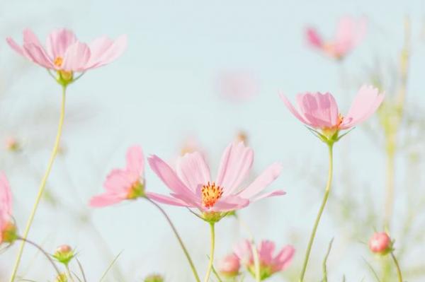 不要輕言“我很善良”(雲山不知處)