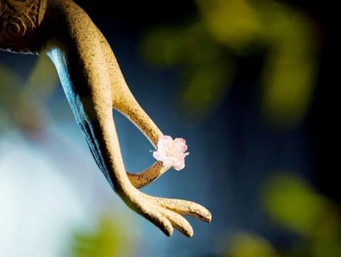 這次法會徹底喚醒了迷失的我(彌圓)