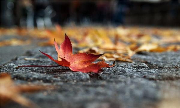 日常生活中，意外的事情隨處可見，無常隨時伴隨著我們(雪馨)