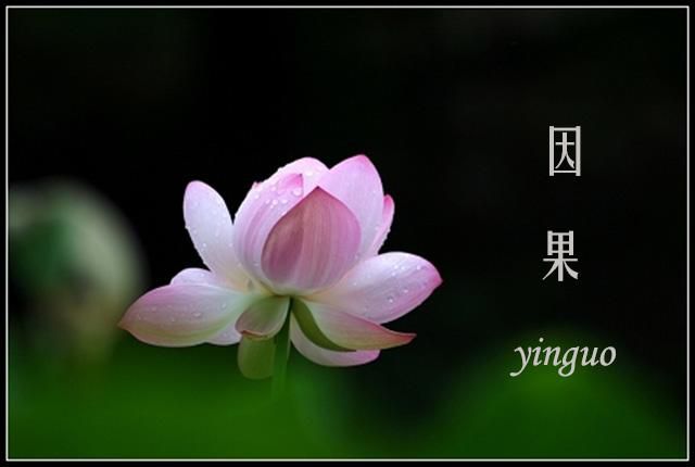 苦樂由己