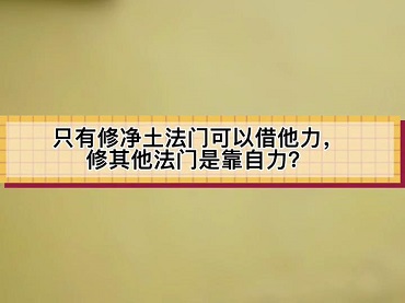 “只有修淨土可以借他力，修其他法門是靠自力”，這個觀點對嗎？