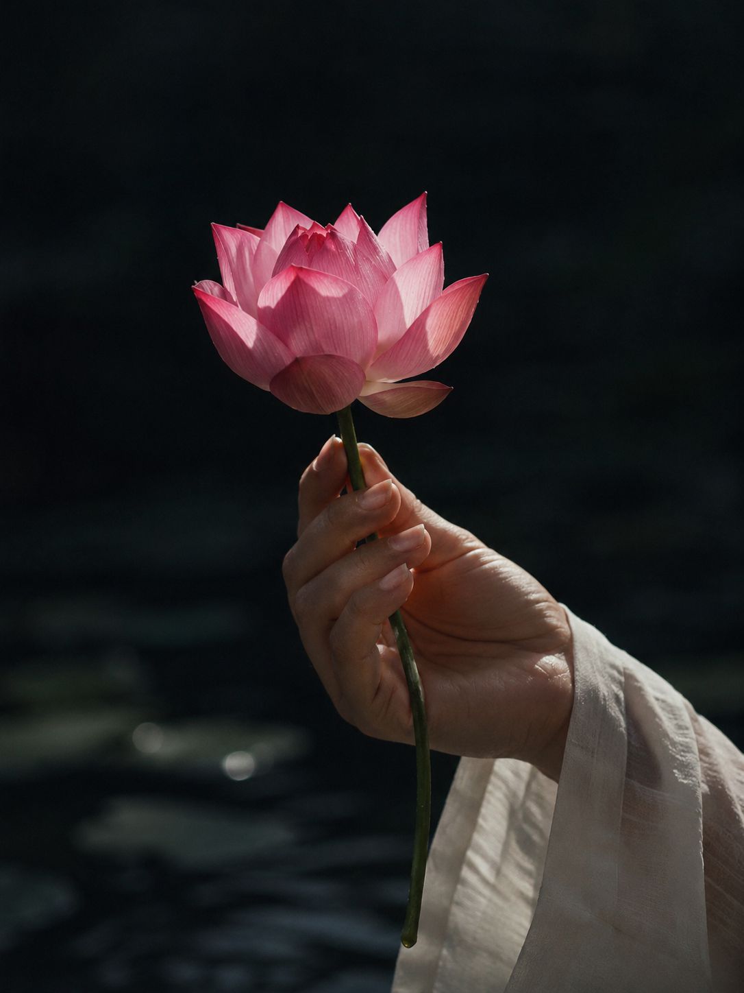運頓多吉白菩提會-恭聞《南無第三世多杰羌佛旅行中應佛弟子之需隨緣說法》心得(晏聲)
