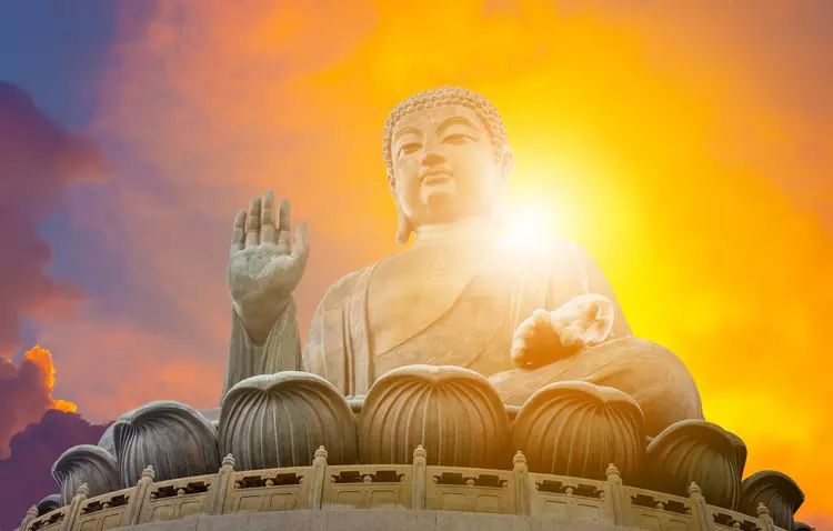 華藏學佛苑-這兩個佛門公案 讓我懂得因果實相的真實義理(菩提籽)