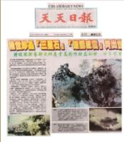 DailyNewsRaretreasuresSamsungStoneMaleMegaZhenQiborn.jpg