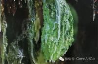 YunSculptures44.jpg