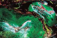 WesternPaintings58.jpg