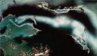 WesternPaintings57.jpg