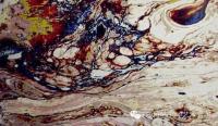 WesternPaintings28.jpg