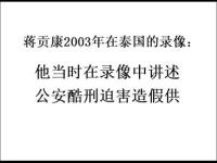 JiangGongren2003video(movie).jpg