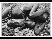 FamineinAfrica(movie).jpg