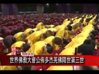 2011WorldBuddhistAssemblyannouncedtheBuddhaincarnate(movie).jpg