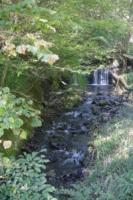 water-057.jpg