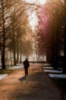 others-029.jpg