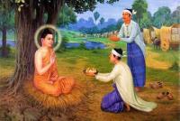 LearntheBuddha-087.jpg