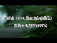 YiyunGaoweizhenshouted30million(movie).jpg