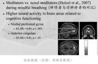 ScientificexperimentsconfirmthatthereisabigdifferencebetweentheBuddhistandnonscientificBuddhas2.jpg