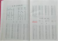 ChinesePeopleYearbook2.jpg