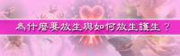 ad-release.jpg
