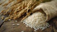 food-044.jpg