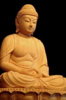 learnthebuddha-213.jpg