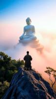 learnthebuddha-236.jpg