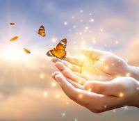 protectlife-054.jpg